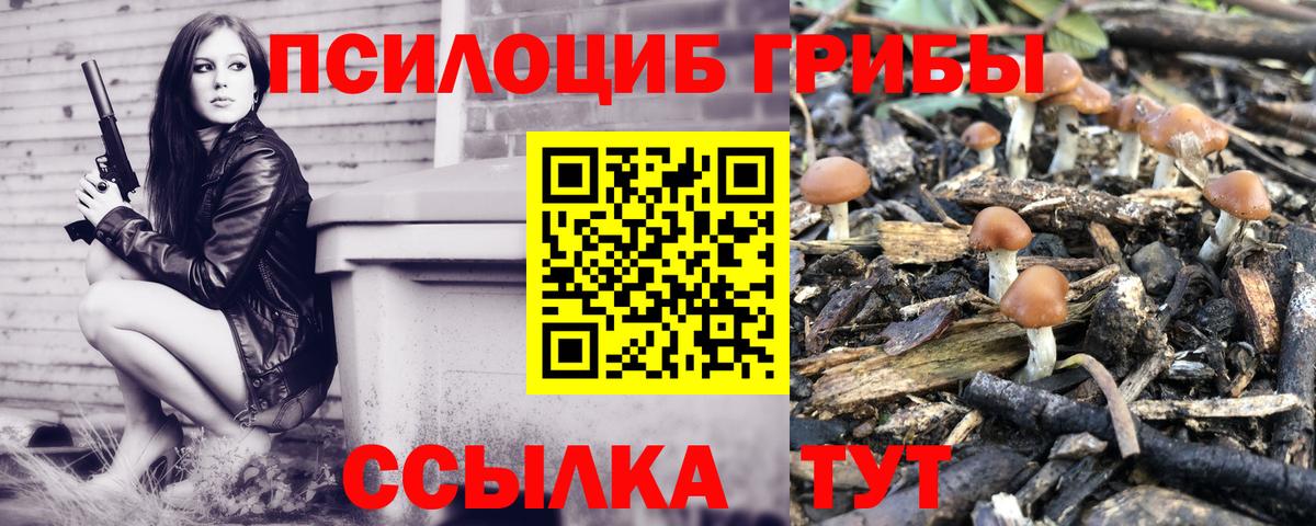 Псилоцибиновые грибы GOLDEN TEACHER  Псилоцибиновые грибы Psilocybine cubensis  Вход с VPN  Заводоуковск 