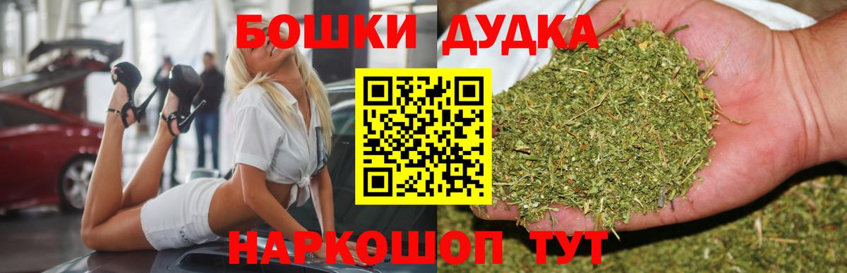 Канабис OG Kush  Канабис планчик  Заводоуковск  Вход с VPN  Каннабис LSD WEED  Бошки марихуана семена 